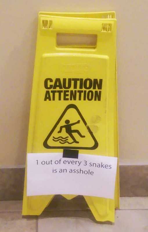 images/gallery/sightgags/1Of3Snakes.jpg