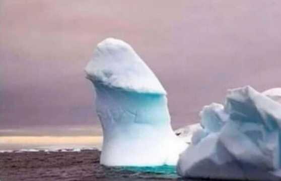 images/gallery/sightgags/90PercentUnderwater.jpg