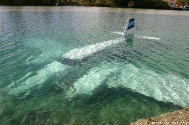images/gallery/sightgags/AircraftTrouble03.jpg