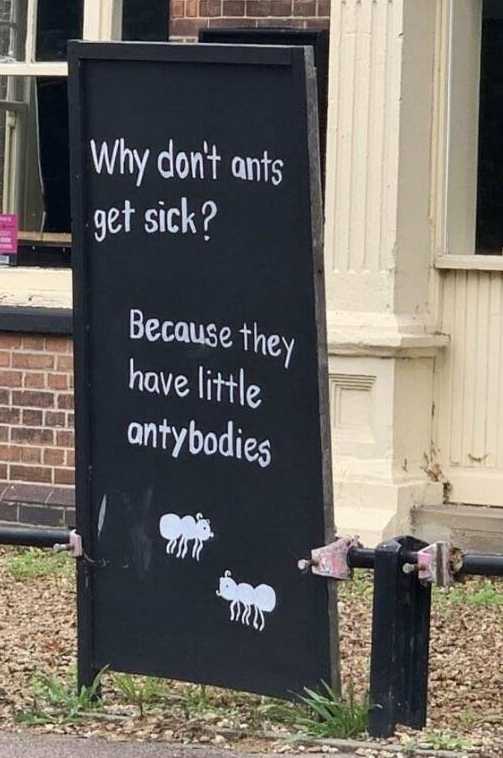 images/gallery/sightgags/Antybodies.jpg
