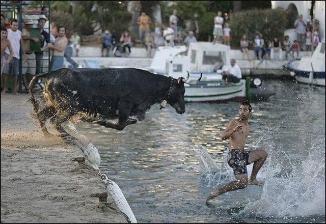 images/gallery/sightgags/BadDay11.jpg