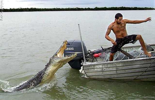 images/gallery/sightgags/BadDay29.jpg