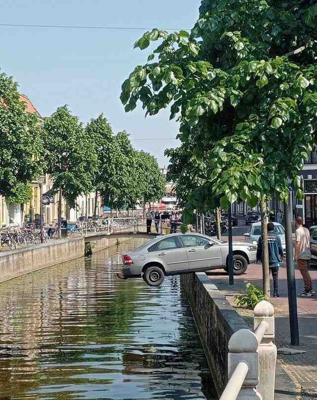 images/gallery/sightgags/BadParking48.jpg