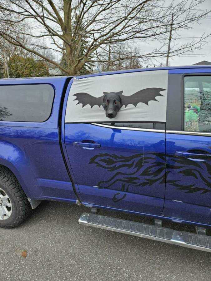 images/gallery/sightgags/BatDog.jpg