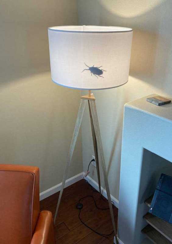 images/gallery/sightgags/BigBug.jpg