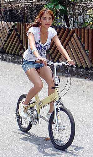images/gallery/sightgags/BikeSeatColor.jpg
