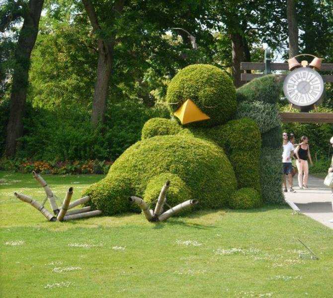 images/gallery/sightgags/BirdBush.jpg