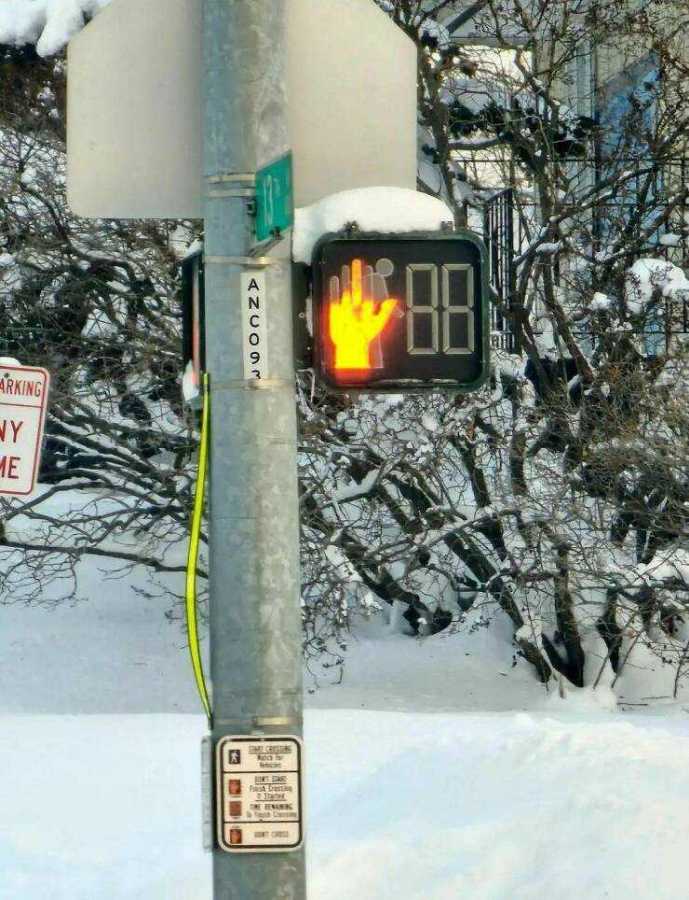 images/gallery/sightgags/BirdCrossing.jpg