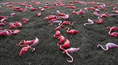 images/gallery/sightgags/BirdFluHitsFloridaTrailerPark.jpg