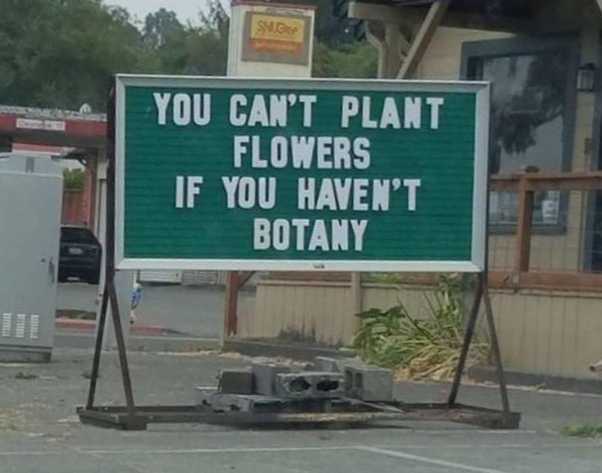 images/gallery/sightgags/Botany.jpg