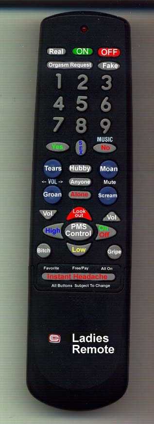 images/gallery/sightgags/BoyfriendRemote.jpg