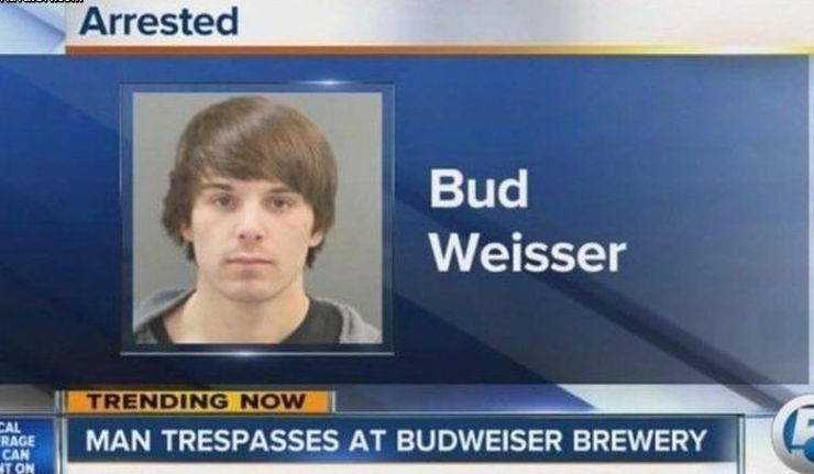 images/gallery/sightgags/BudWeisser.jpg