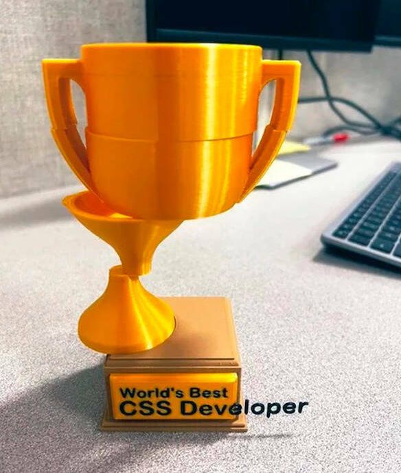 images/gallery/sightgags/CSSDeveloper.jpg