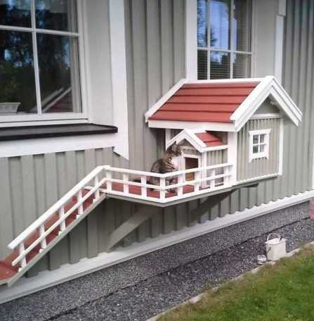 images/gallery/sightgags/CatDoor.jpg