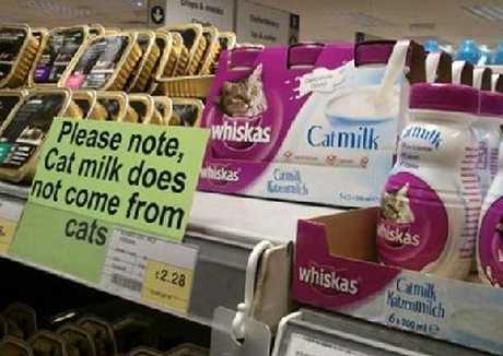 images/gallery/sightgags/Catmilk.jpg