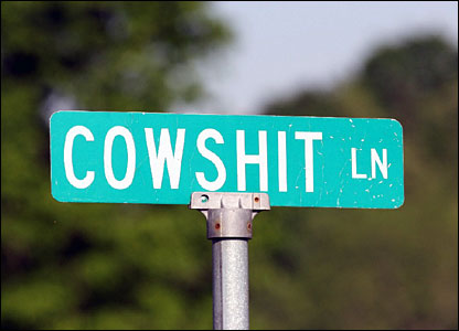 images/gallery/sightgags/CowshitLanePennsylvania.jpg