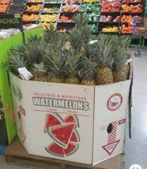 images/gallery/sightgags/DeliciousWatermelons.jpg
