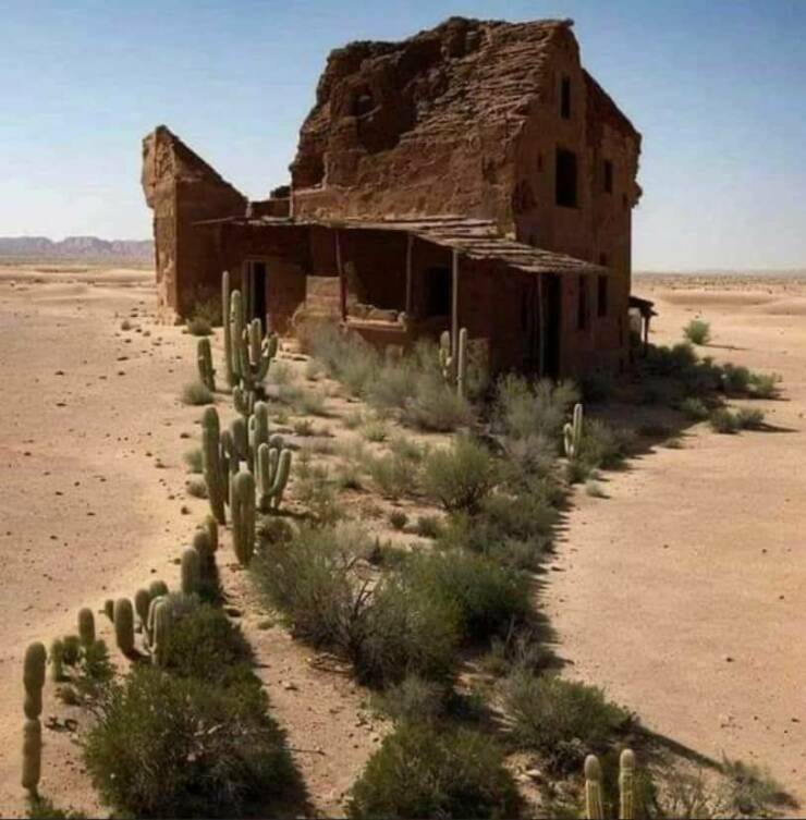 images/gallery/sightgags/DesertCowboy.jpg