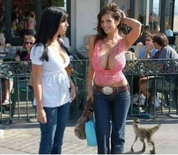 images/gallery/sightgags/DinosaurFirst.jpg