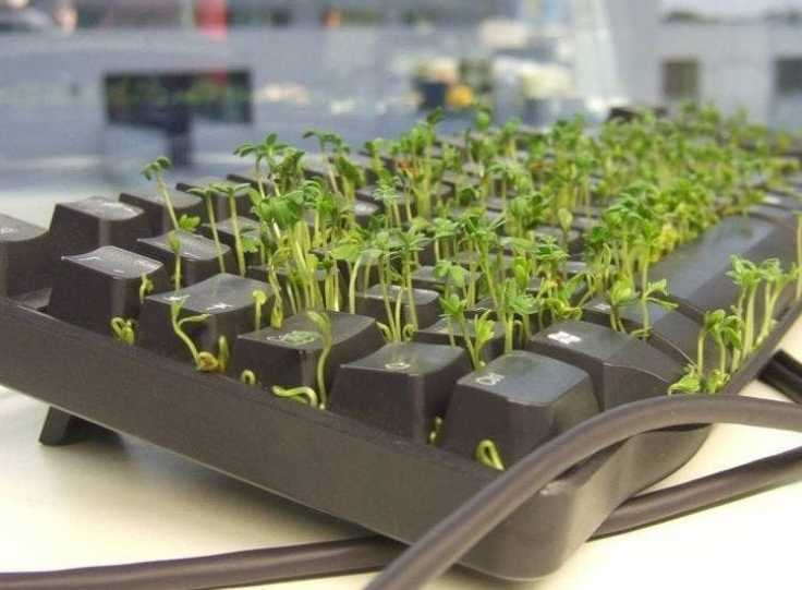images/gallery/sightgags/DirtyKeyboard.jpg
