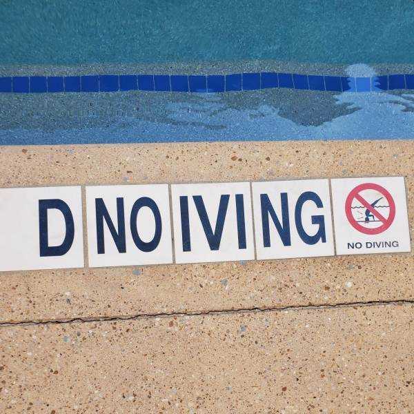 images/gallery/sightgags/Dnoiving.jpg