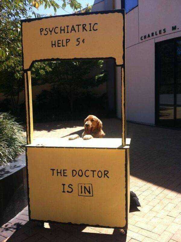 images/gallery/sightgags/DoctorIsIn.jpg