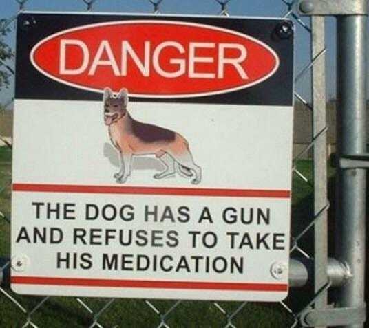 images/gallery/sightgags/DogHasGun.jpg