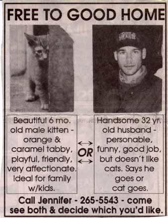 images/gallery/sightgags/DogOrHusband.jpg