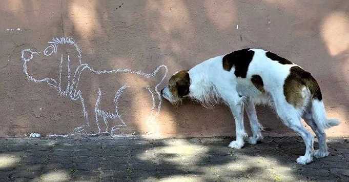 images/gallery/sightgags/DogSniffsDrawing.jpg