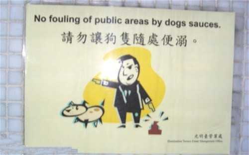 images/gallery/sightgags/DogsSauces.jpg