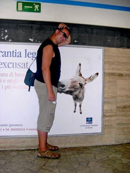 images/gallery/sightgags/DonkeyKong.jpg