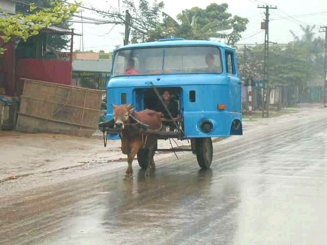 images/gallery/sightgags/DonkeyTruck.jpg