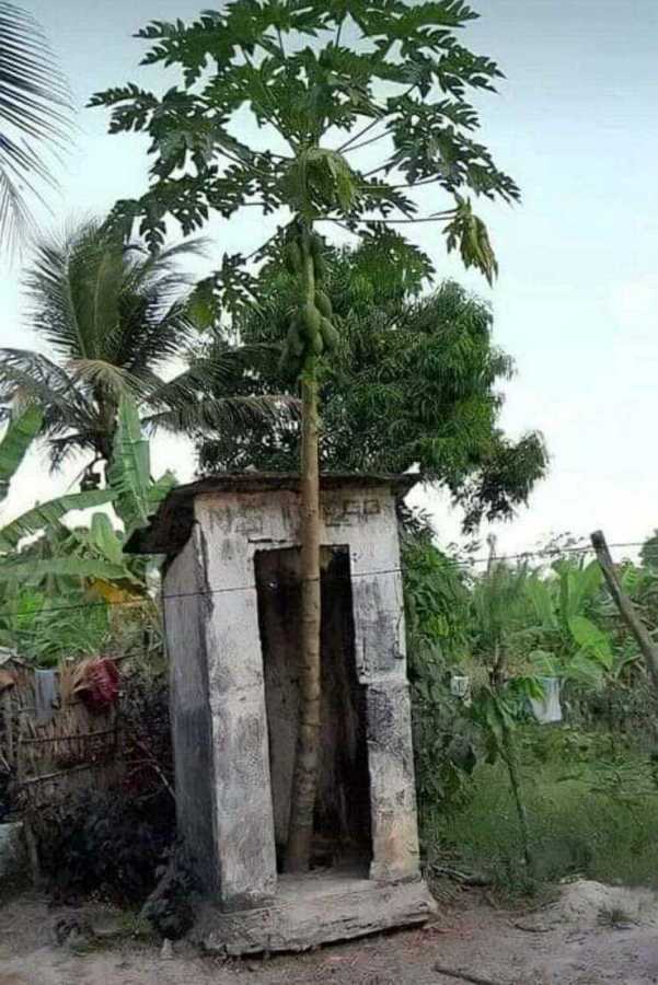 images/gallery/sightgags/DontEatCoconuts.jpg