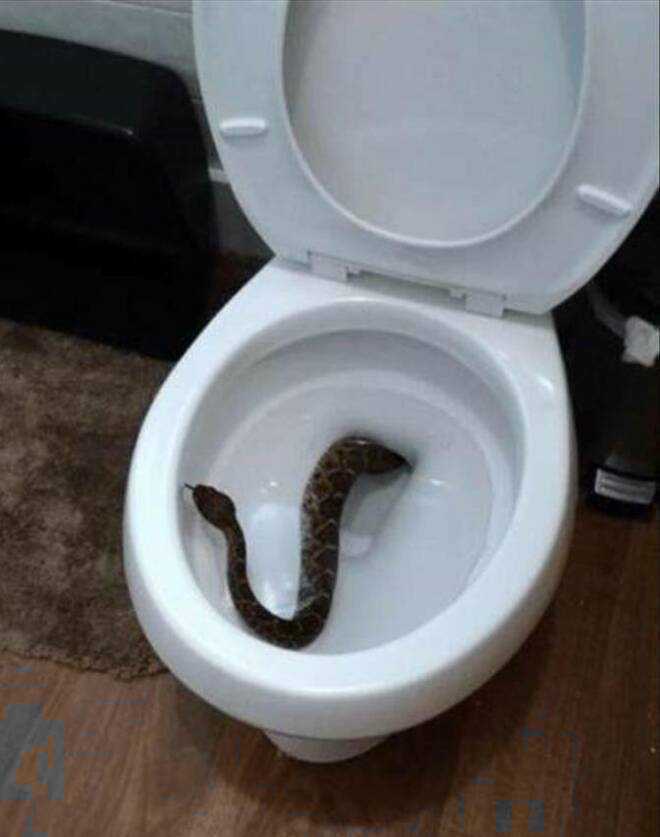 images/gallery/sightgags/DontSitDown.jpg