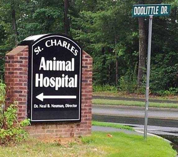 images/gallery/sightgags/DoolittleDr.jpg