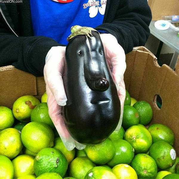 images/gallery/sightgags/EggplantHead.jpg