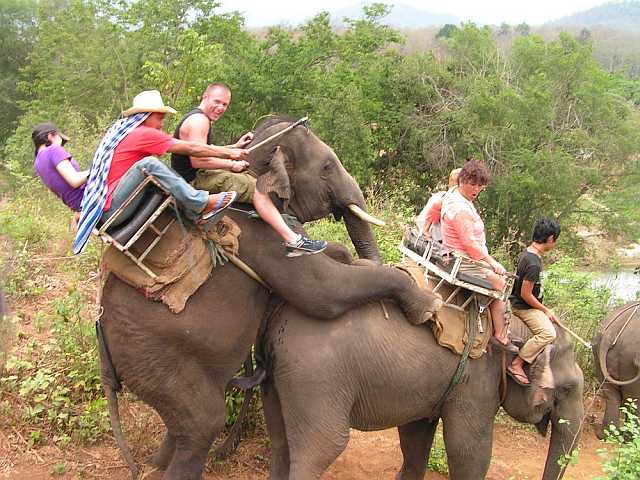 images/gallery/sightgags/ElephantRideHump.jpg