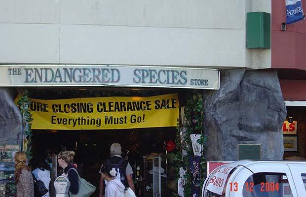 images/gallery/sightgags/EndangeredMustGo.jpg