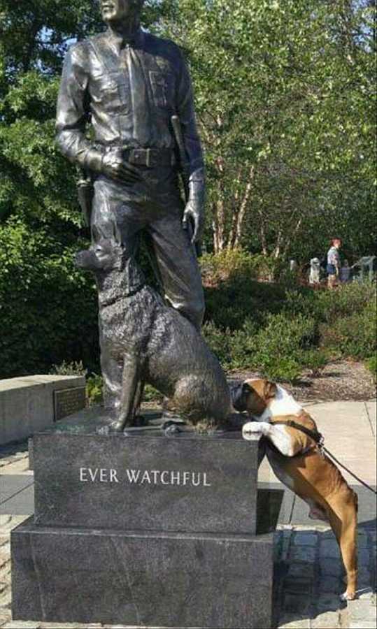 images/gallery/sightgags/EverWatchful.jpg