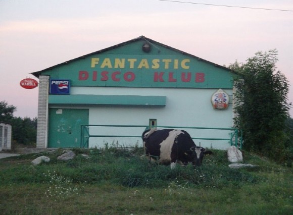 images/gallery/sightgags/FantasticDiscoKlub.jpg