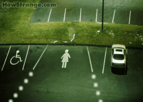images/gallery/sightgags/FemaleParkingSpot.gif