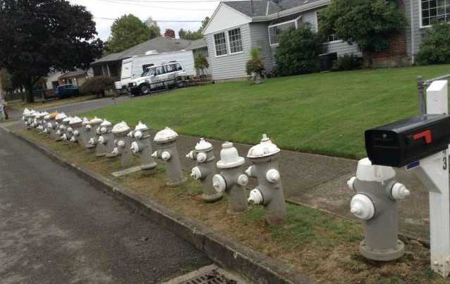 images/gallery/sightgags/FireHydrants.jpg