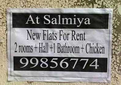 images/gallery/sightgags/FlatPlusChicken.jpg