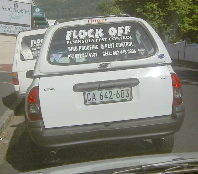 images/gallery/sightgags/FlockOff.jpg