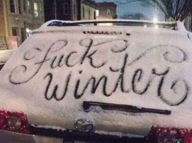 images/gallery/sightgags/FuckWinter.jpg