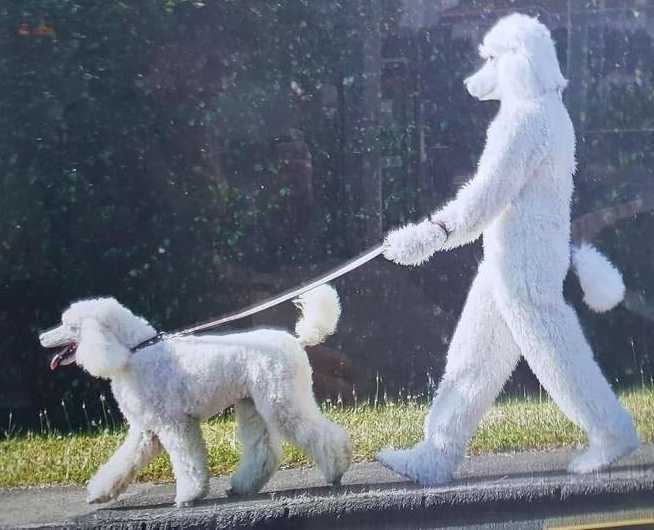 images/gallery/sightgags/FurWalkingFur.jpg