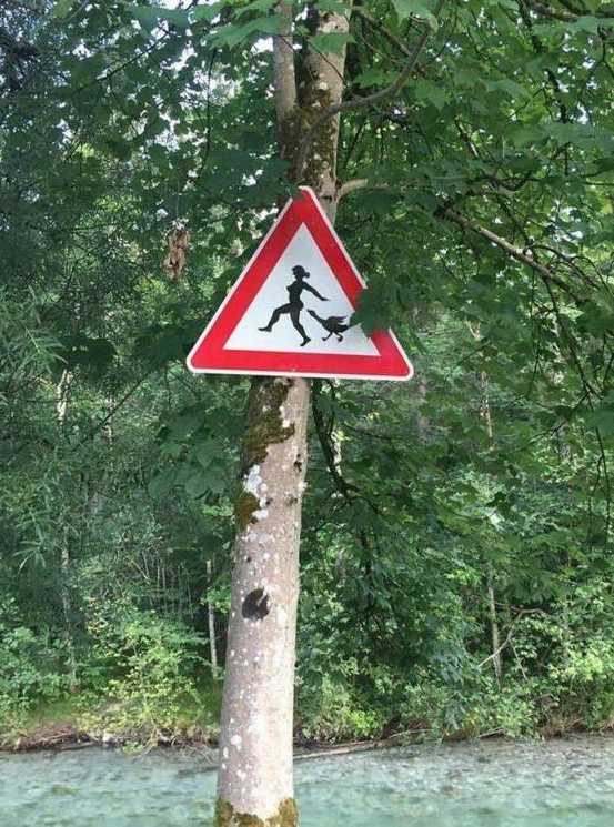images/gallery/sightgags/GooseChase.jpg