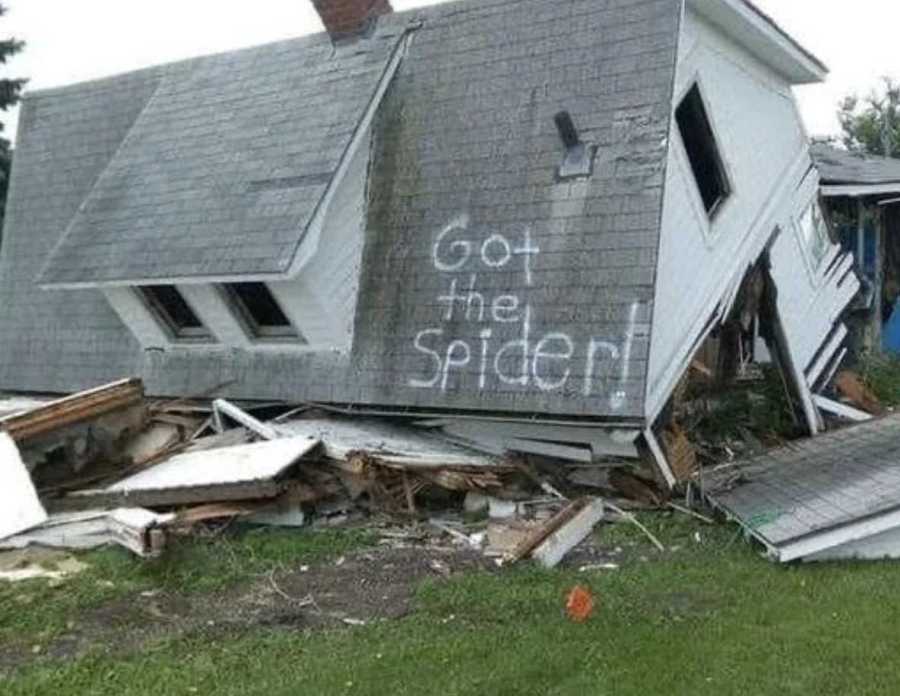 images/gallery/sightgags/GotTheSpider.jpg
