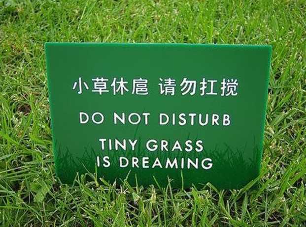 images/gallery/sightgags/GrassIsDreaming.jpg
