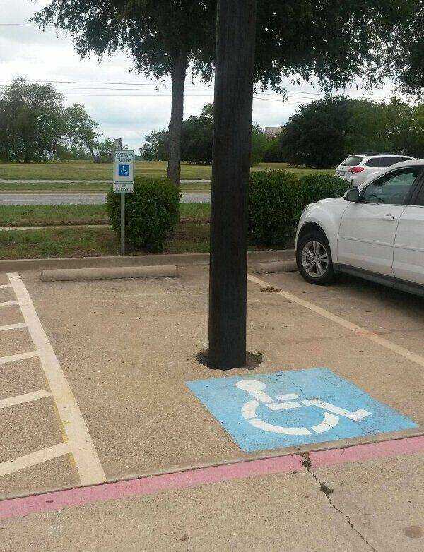 images/gallery/sightgags/HandicappedTree.jpg